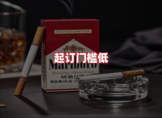 专业团队
